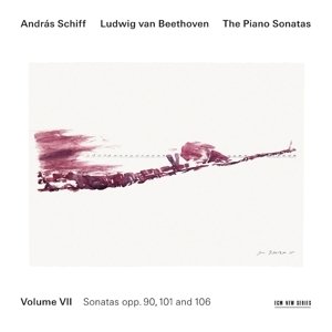 The Piano Sonatas, Volume VII