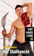 Gay Hardcore 10: Der Stallknecht