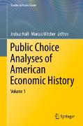 Public Choice Analyses of American Economic History