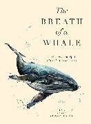 The Breath of a Whale