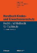 Handbuch Kindes- und Erwachsenenschutz