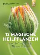 12 magische Heilpflanzen