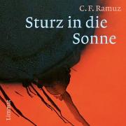 Sturz in die Sonne