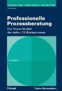 Professionelle Prozessberatung