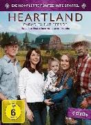 Heartland - Paradies für Pferde, Staffel 15