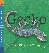 Gecko