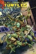 Teenage Mutant Ninja Turtles Heroes Collection