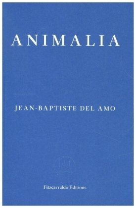 Animalia