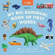 My Big Bilingual Book of First Words