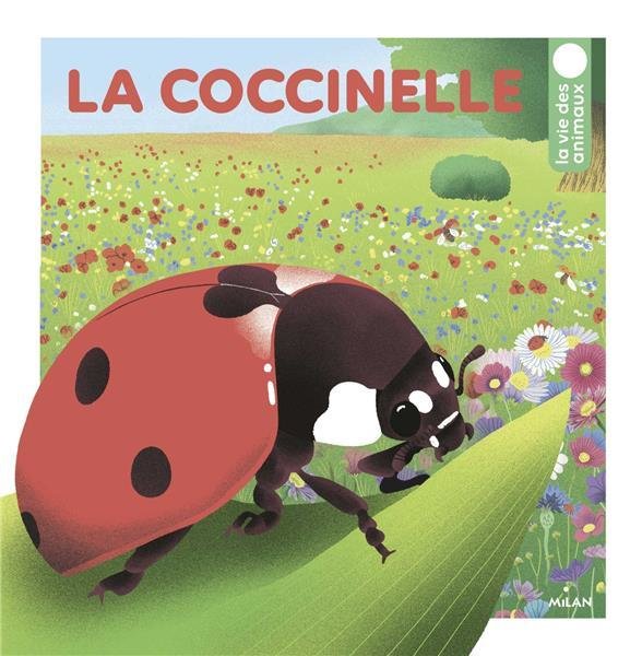 La coccinelle