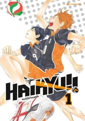 Haikyu!! Bd.1