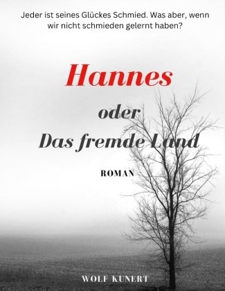 Hannes oder Das fremde Land