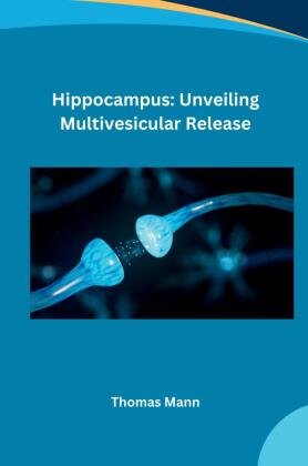 Hippocampus: Unveiling Multivesicular Release