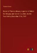 Report of Thomas Brown, Inspector of Mines for Allegany and Garrett Counties, for the Year Ending December 31st, 1881