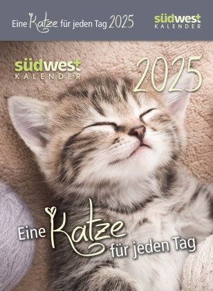 Eine Katze für jeden Tag 2025  - Tagesabreißkalender zum Aufstellen oder Aufhängen