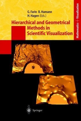 Hierarchical and Geometrical Methods in Scientific Visualization