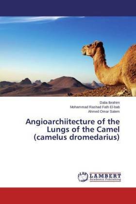 Angioarchiitecture of the Lungs of the Camel (camelus dromedarius)