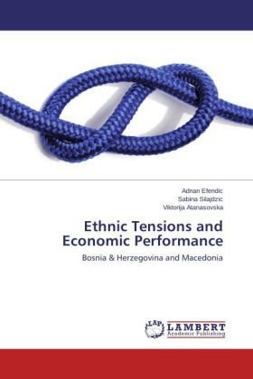 Ethnic Tensions and Economic Performance