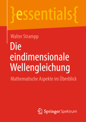 Die eindimensionale Wellengleichung