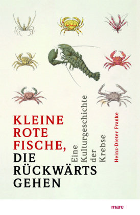 ¯Kleine rote Fische, die rückwärtsgehen®