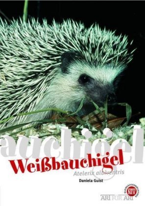 Weißbauchigel