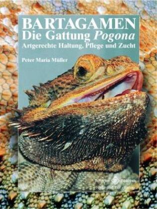 Bartagamen - Die Gattung Pogona