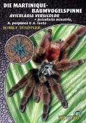 Die Martinique-Baumvogelspinne